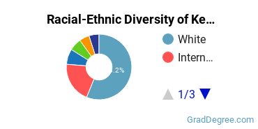 Graduate Racial-Ethnic Diversity at GMI Engineering & Management Institute