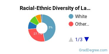 Graduate Racial-Ethnic Diversity at Lasell University