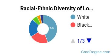 Graduate Racial-Ethnic Diversity at LSUS