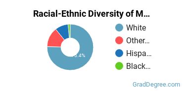 Graduate Racial-Ethnic Diversity at MECA&D „  Meca „ Portland School of Art