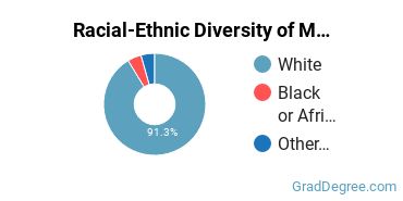 Graduate Racial-Ethnic Diversity at Maine Media College