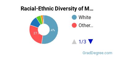 Graduate Racial-Ethnic Diversity at Manhattanville University