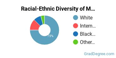 Graduate Racial-Ethnic Diversity at Mars Hill University