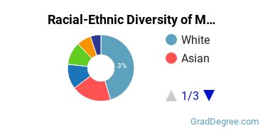 Graduate Racial-Ethnic Diversity at MCPHS University