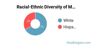 Graduate Racial-Ethnic Diversity at McMurry University