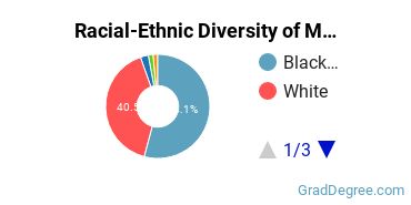 Graduate Racial-Ethnic Diversity at Memphis Theological Seminary