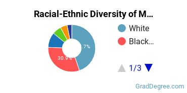 Graduate Racial-Ethnic Diversity at Mercer University