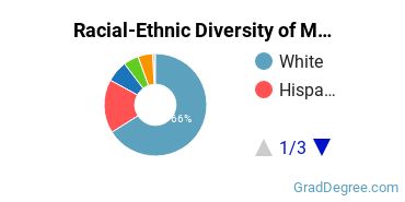 Graduate Racial-Ethnic Diversity at MSU Denver