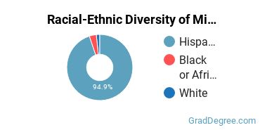 Graduate Racial-Ethnic Diversity at Miami Regional University