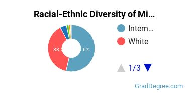 Graduate Racial-Ethnic Diversity at Michigan Technological University