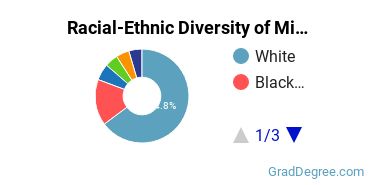 Graduate Racial-Ethnic Diversity at Millikin University