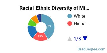 Graduate Racial-Ethnic Diversity at Northeastern University Oakland