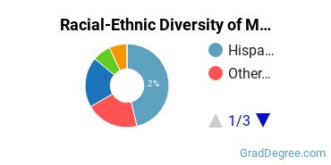 Graduate Racial-Ethnic Diversity at Mount Saint Mary's University