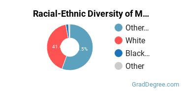 Graduate Racial-Ethnic Diversity at Muskingum