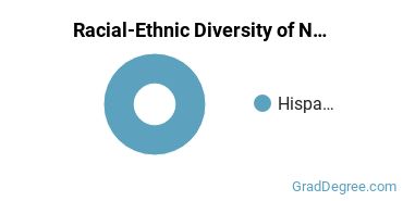 Graduate Racial-Ethnic Diversity at NUC University
