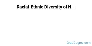 Graduate Racial-Ethnic Diversity at Navajo Tech
