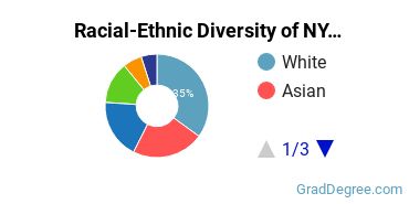 Graduate Racial-Ethnic Diversity at New York Tech