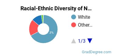 Graduate Racial-Ethnic Diversity at North Greenville University