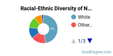 Graduate Racial-Ethnic Diversity at North Park University