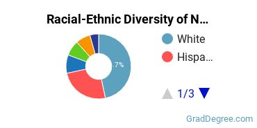 Graduate Racial-Ethnic Diversity at NEIU