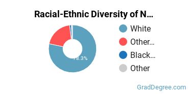 Graduate Racial-Ethnic Diversity at Northwestern College