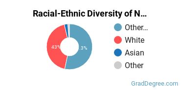 Graduate Racial-Ethnic Diversity at Northwestern Health Sciences University
