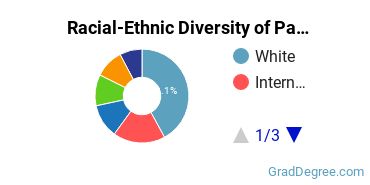 Graduate Racial-Ethnic Diversity at Pace University