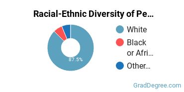 Graduate Racial-Ethnic Diversity at Pennsylvania State University-Penn State York
