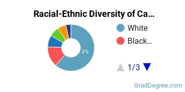 Graduate Racial-Ethnic Diversity at Cairn