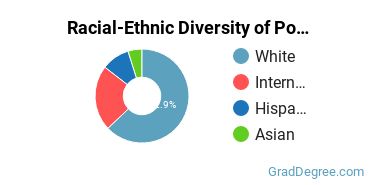 Graduate Racial-Ethnic Diversity at Pontifical John Paul II Institute for Studies on Marriage and Family