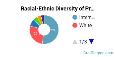 Graduate Racial-Ethnic Diversity at Pratt Institute