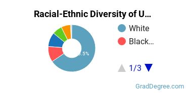Graduate Racial-Ethnic Diversity at USJ