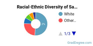 Graduate Racial-Ethnic Diversity at SANS Technology Institute