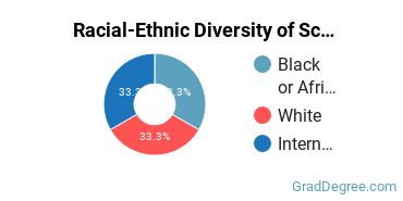Graduate Racial-Ethnic Diversity at Schiller International University