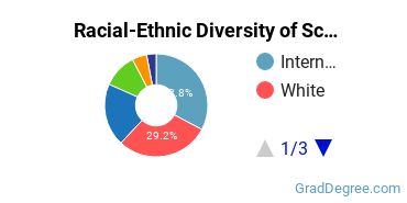 Graduate Racial-Ethnic Diversity at School of the Art Institute of Chicago