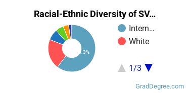 Graduate Racial-Ethnic Diversity at School of Visual Arts