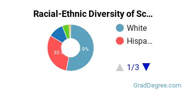 Graduate Racial-Ethnic Diversity at Schreiner University