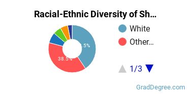 Graduate Racial-Ethnic Diversity at SU