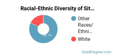Graduate Racial-Ethnic Diversity at Sitting Bull College