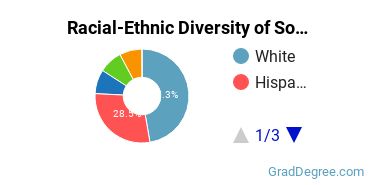 Graduate Racial-Ethnic Diversity at South Texas College of Law Houston