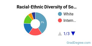 Graduate Racial-Ethnic Diversity at South University-Austin