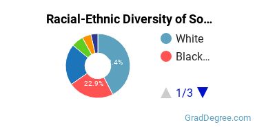 Graduate Racial-Ethnic Diversity at South University-Tampa