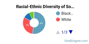 Graduate Racial-Ethnic Diversity at South University-Virginia Beach