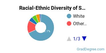 Graduate Racial-Ethnic Diversity at Southwestern Oklahoma State University