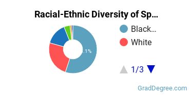 Graduate Racial-Ethnic Diversity at Springfield College-Regional, Online, and Continuing Education