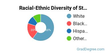 Graduate Racial-Ethnic Diversity at SC