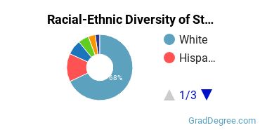 Graduate Racial-Ethnic Diversity at Stetson University