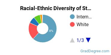 Graduate Racial-Ethnic Diversity at Stevens