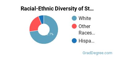 Graduate Racial-Ethnic Diversity at Stonehill College