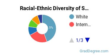 Graduate Racial-Ethnic Diversity at SUNY Stony Brook State University of New York at Stony Brook